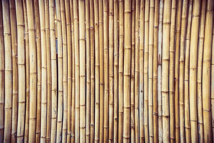 Bamboo Wood Grass 