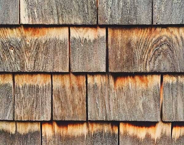 cedar siding example