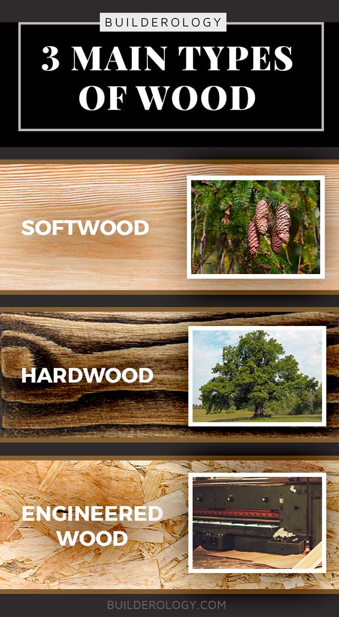 types of hardwood trees